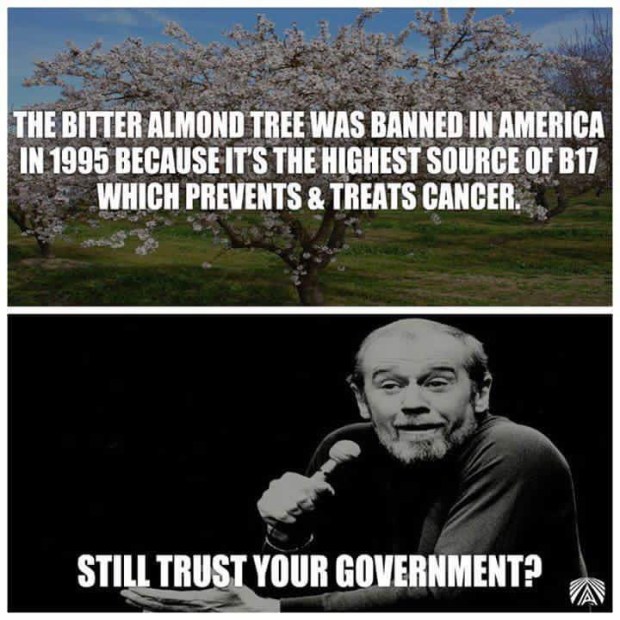 bitter-almond-banned-cancer-1